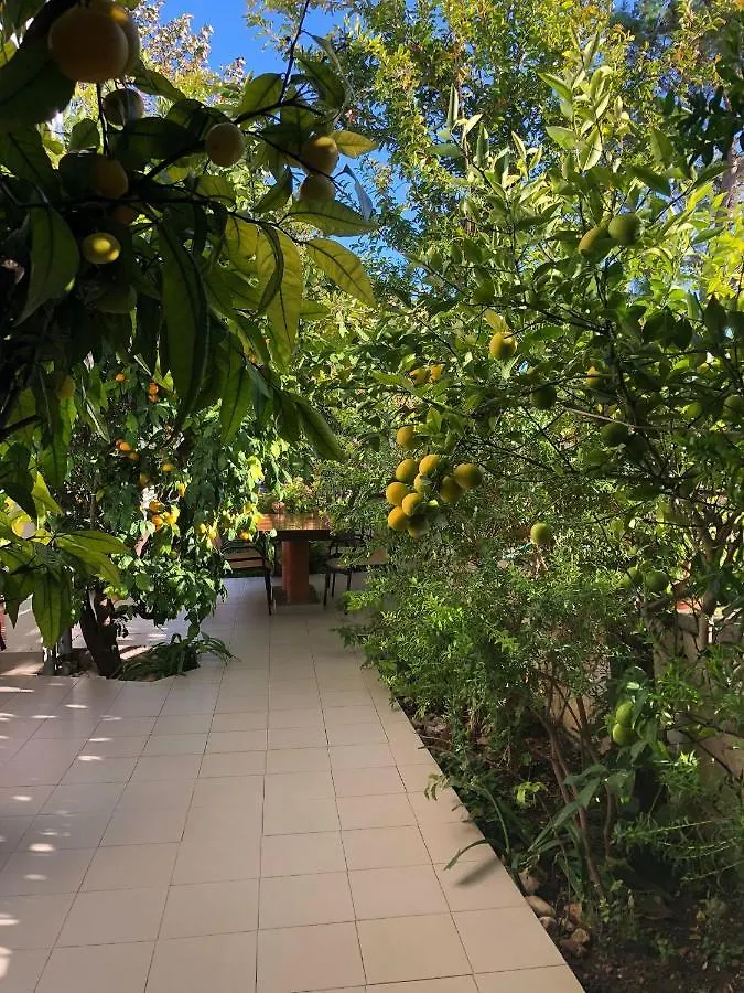 Apartment Apartmani Tinka Starigrad Paklenica Croatia